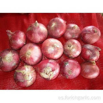 Tamaños 5.0-7.0cm Cebolla Roja Fresca